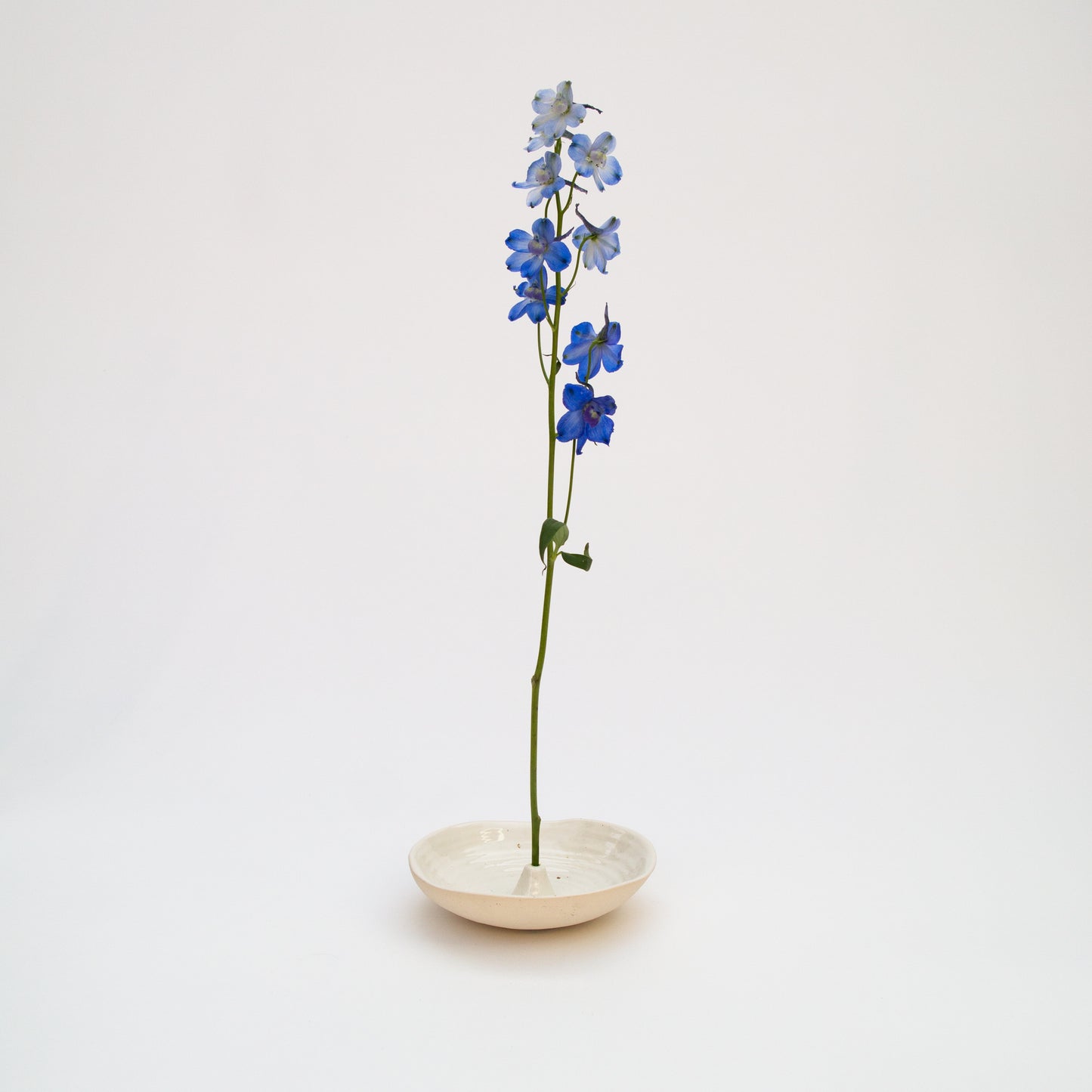 כלי דקורטיבי לקטורת/ פרח בודד