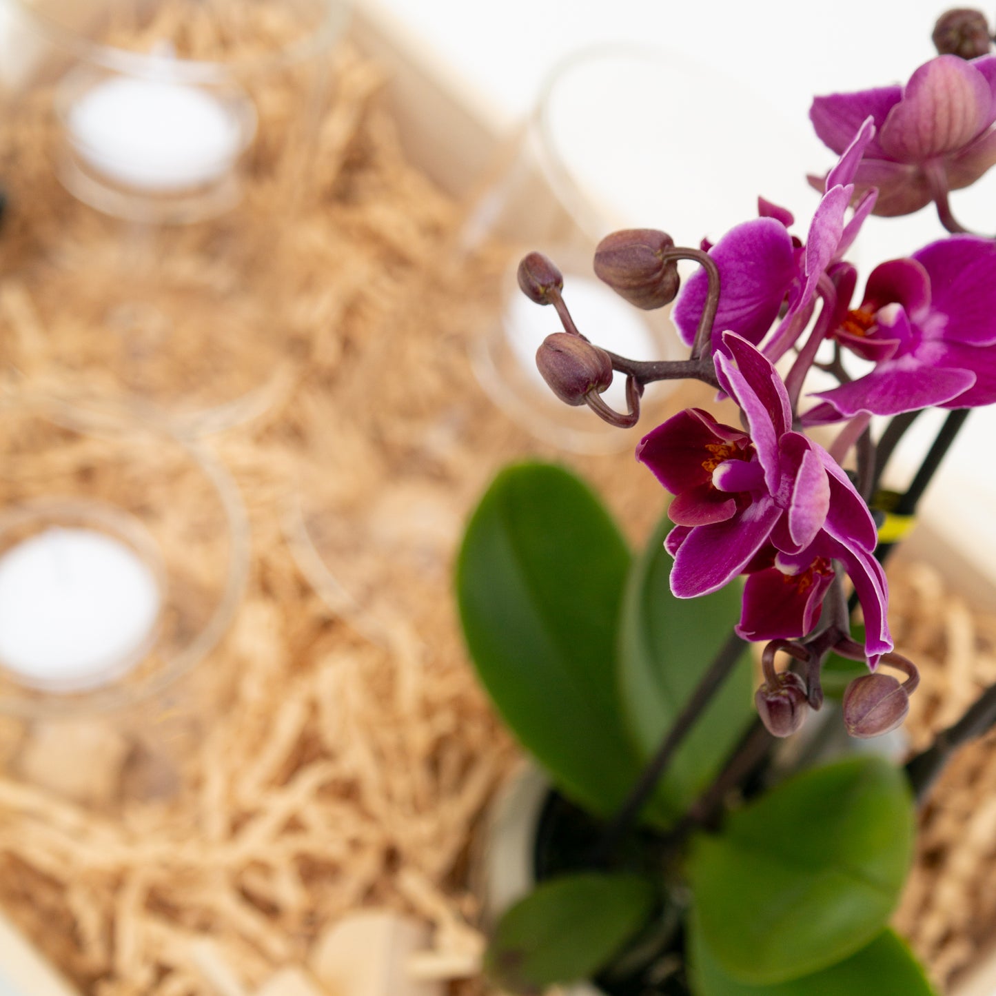 מארז -נרות דולקים״