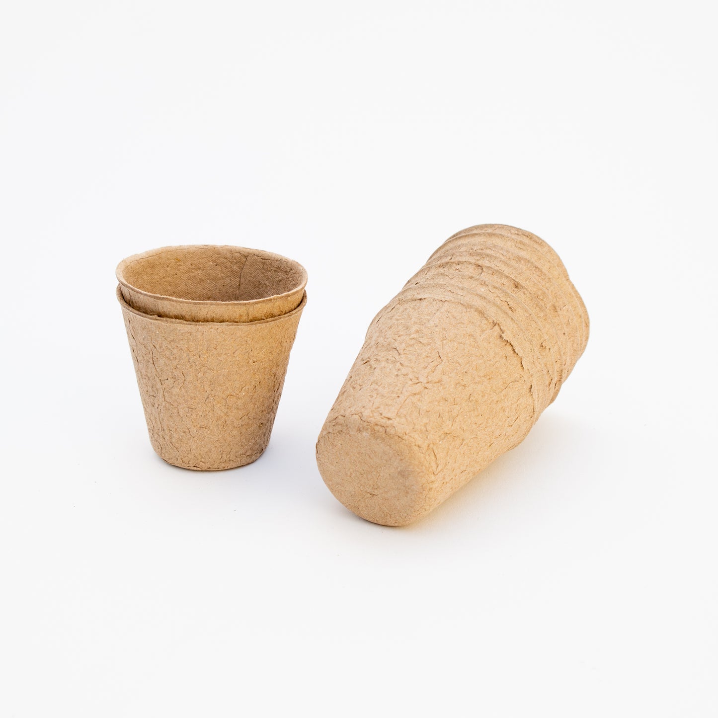 עציצי שתילה מתכלים לשתילים – מארז 10 יחידות