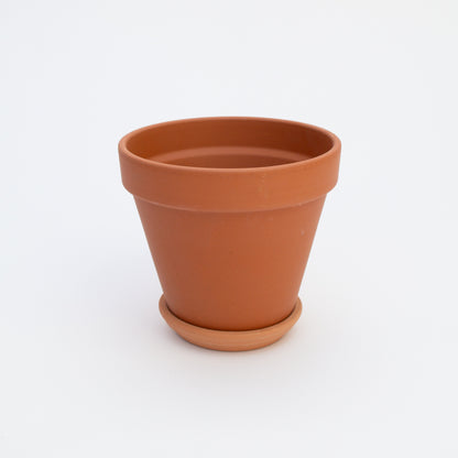 עציץ טרקוטה 11 ס״מ עם תחתית