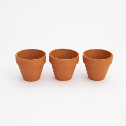 עציץ טרקוטה - 7 ס״מ