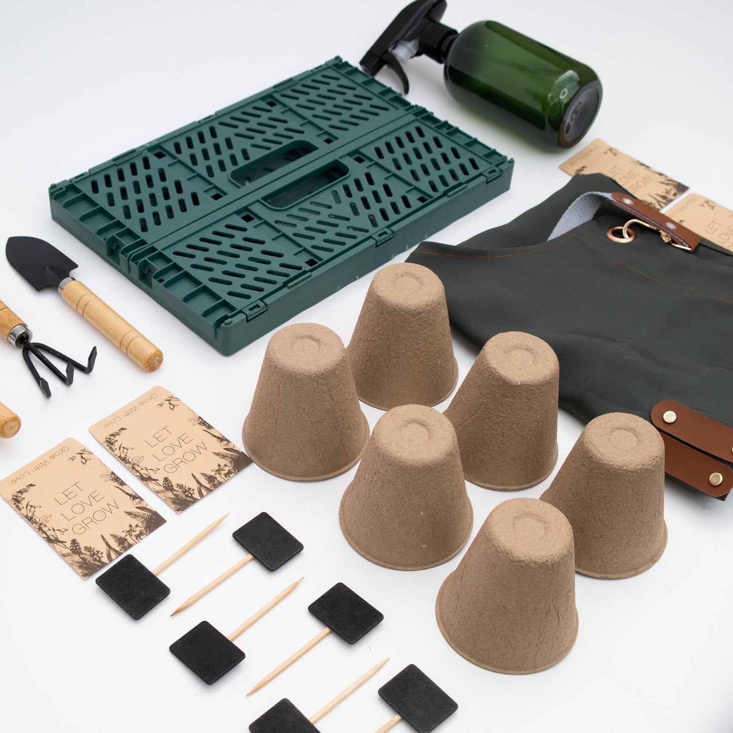 מארז ט"ו בשבט - השקדיה פורחת