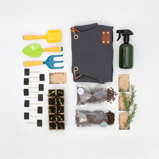 מארז ט"ו בשבט - כך הולכים השותלים