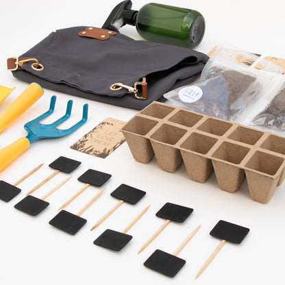 מארז ט"ו בשבט - כך הולכים השותלים