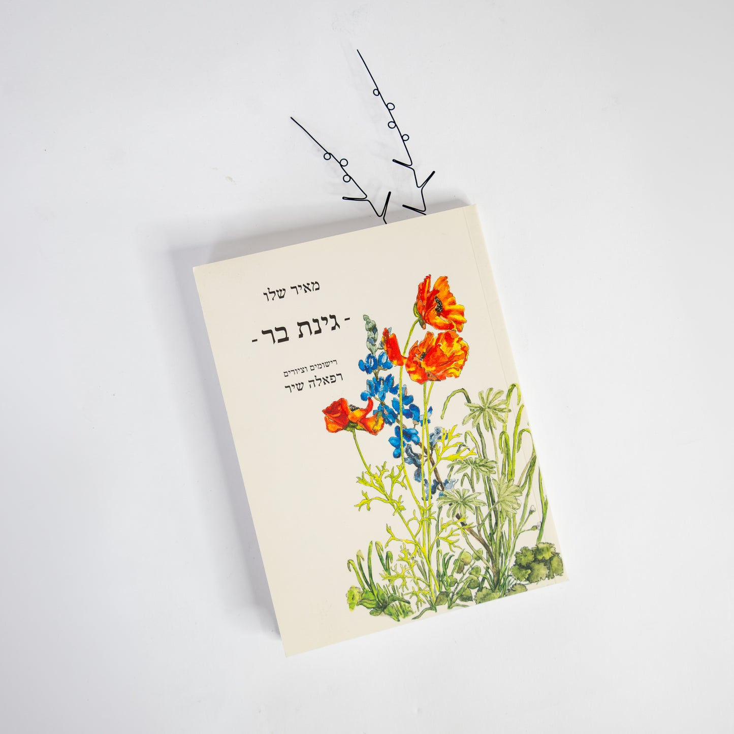סימנייה מחוטי ברזל