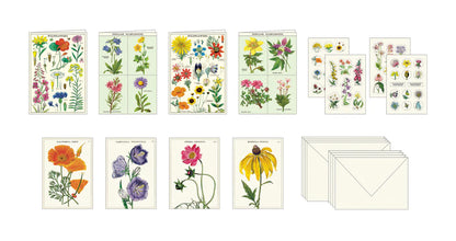 סט לכתיבת ברכות: Wildflowers