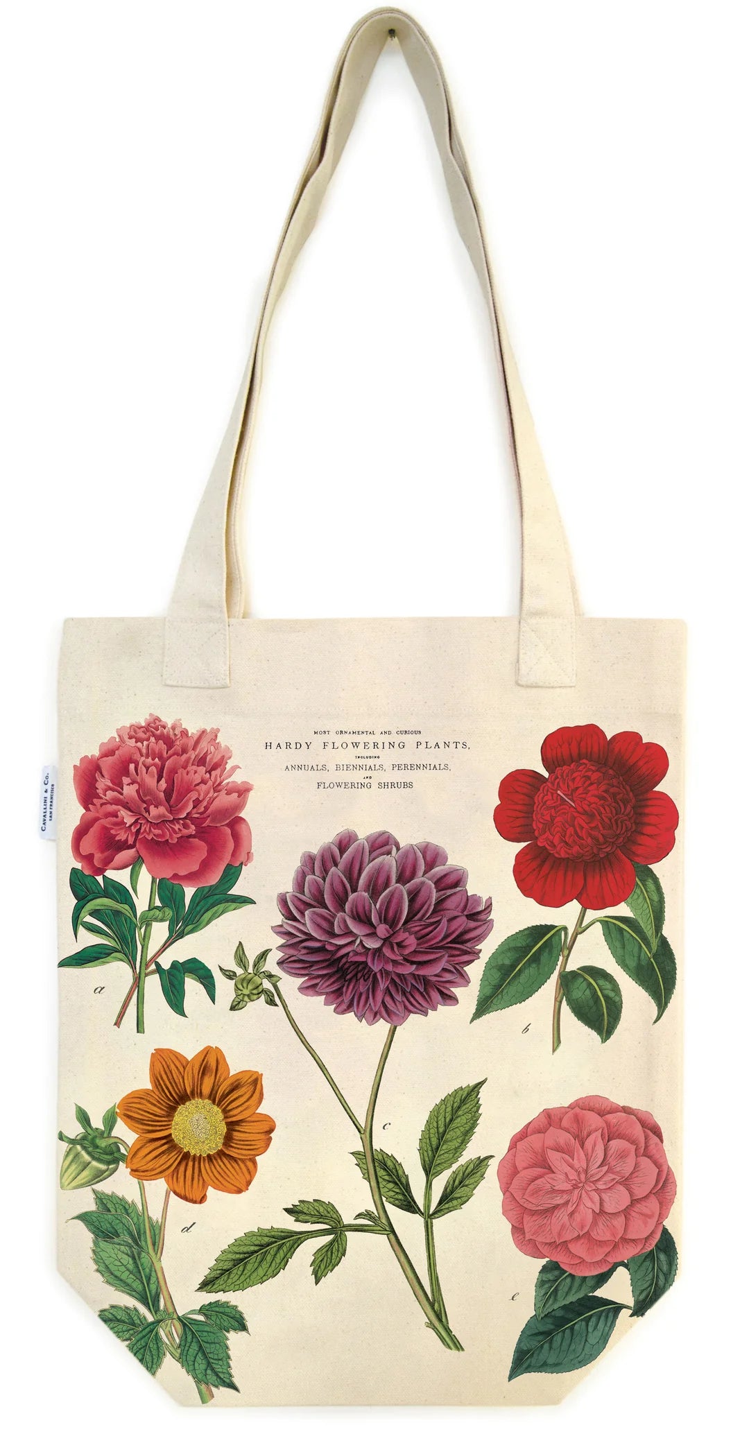 תיק קנבס: Botanica