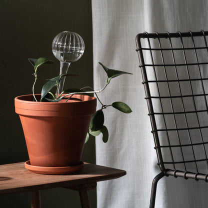 בועת השקיה לצמחים: Clear M