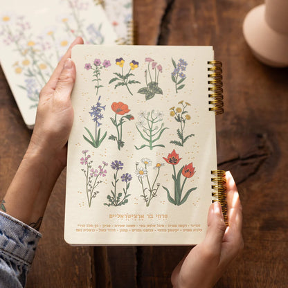 מחברת ספירלה: Wild Chart