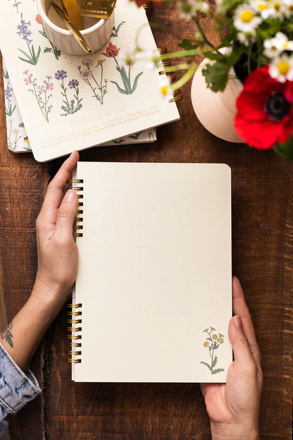 מחברת ספירלה: Wild Chart