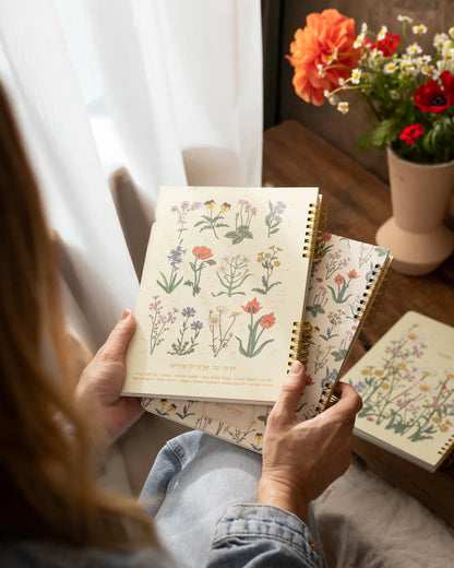 מחברת ספירלה: Wild Chart